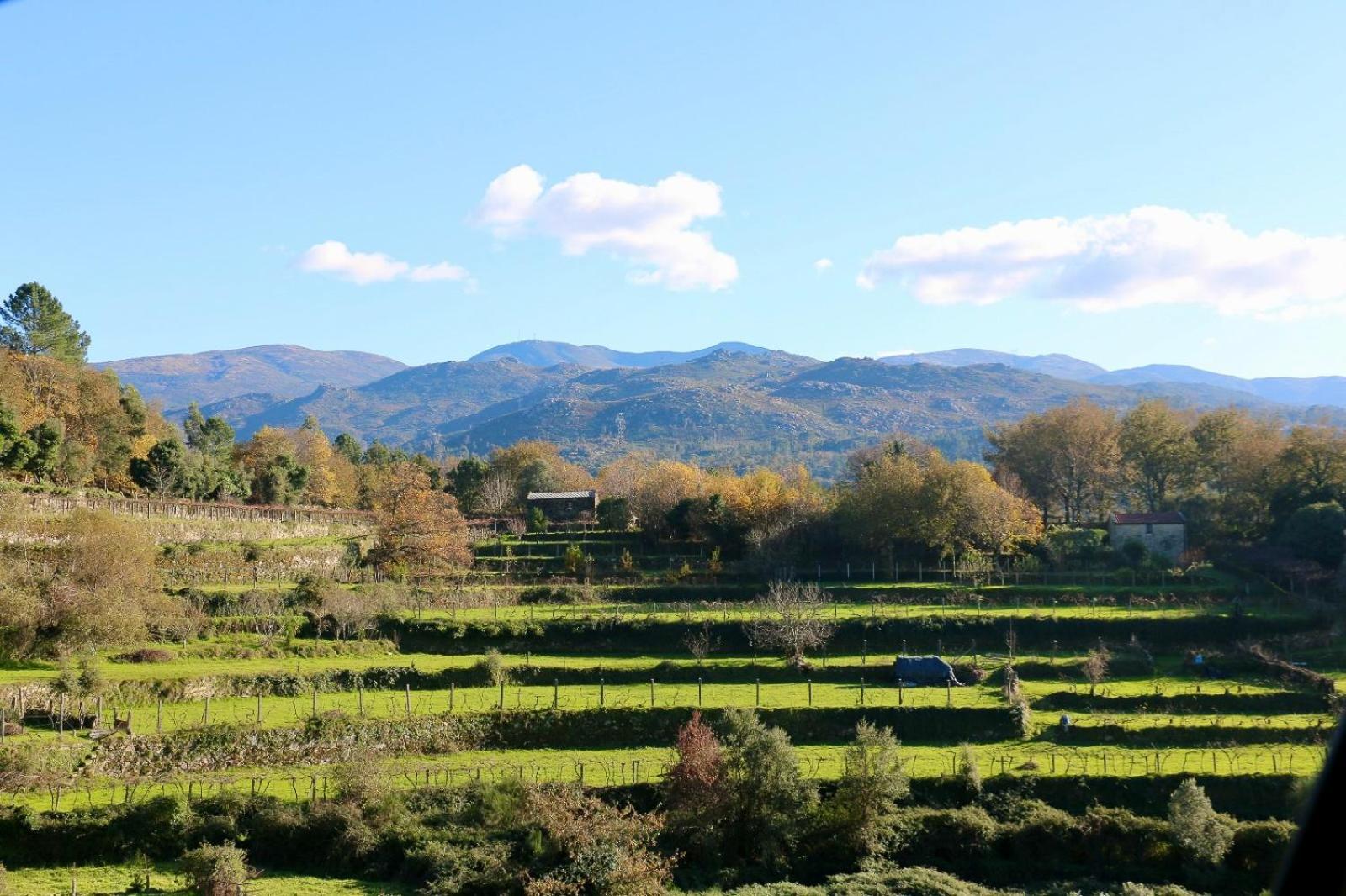 Casa Serra De Soajo Ngoại thất bức ảnh